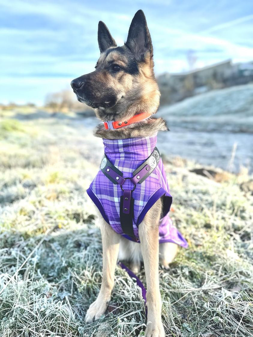Luna fleece