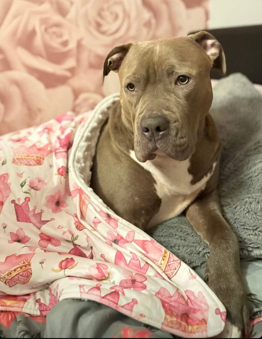 Custom blanket