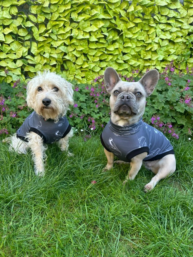 Chinnor kites x Pennypaws Collaboration