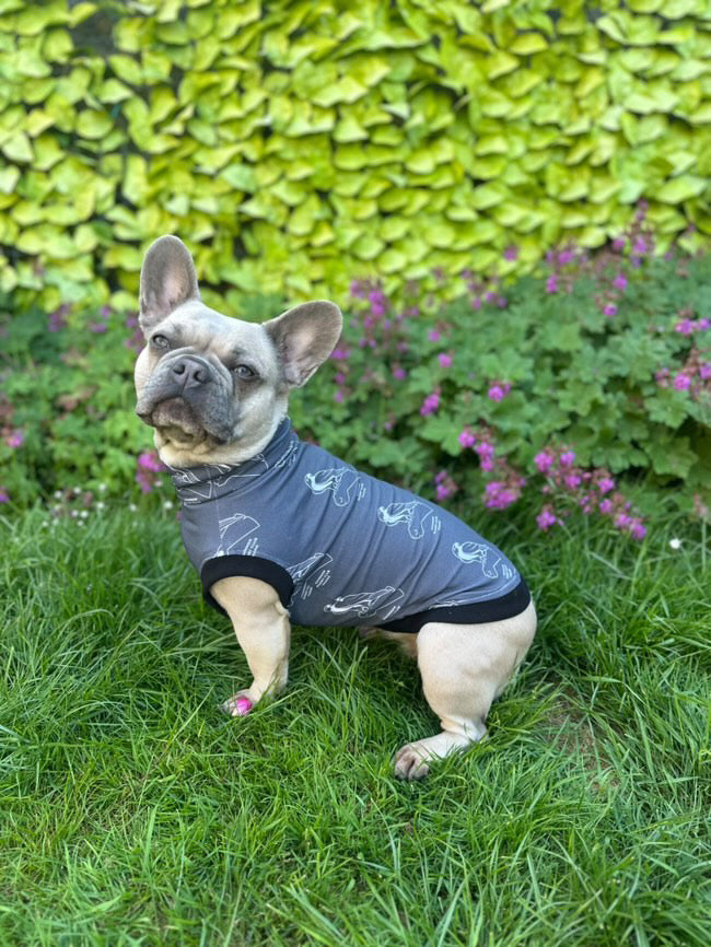 Chinnor kites x Pennypaws Collaboration
