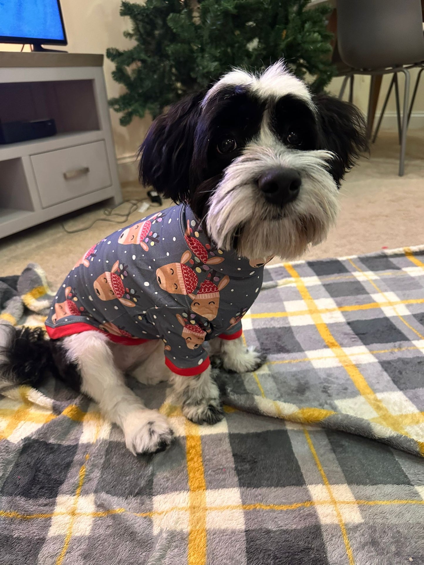 Rudolph