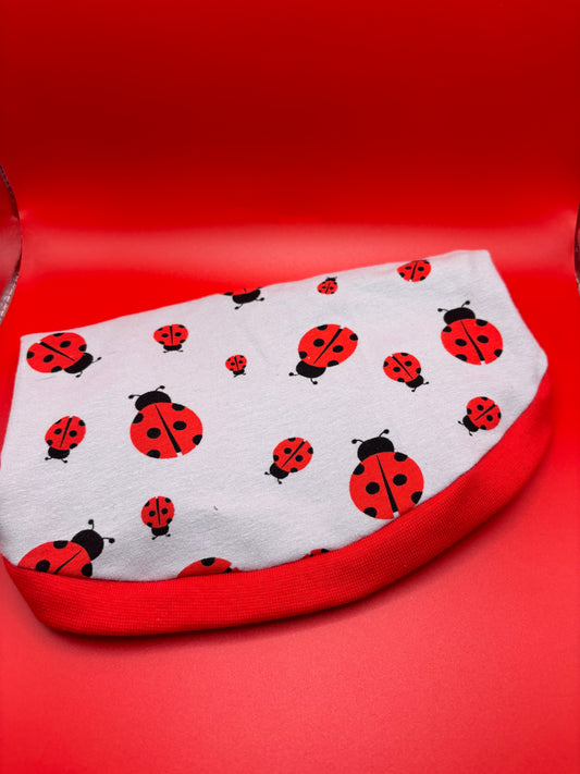 Ladybird