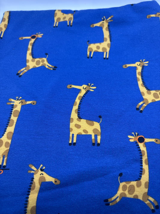 Crazy Giraffe