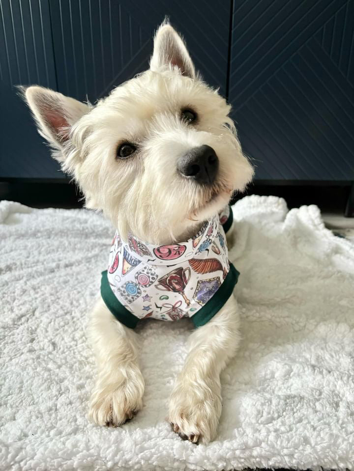 Nimbus