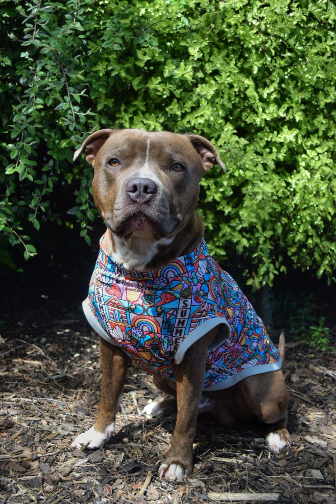 Summer Cool Vest